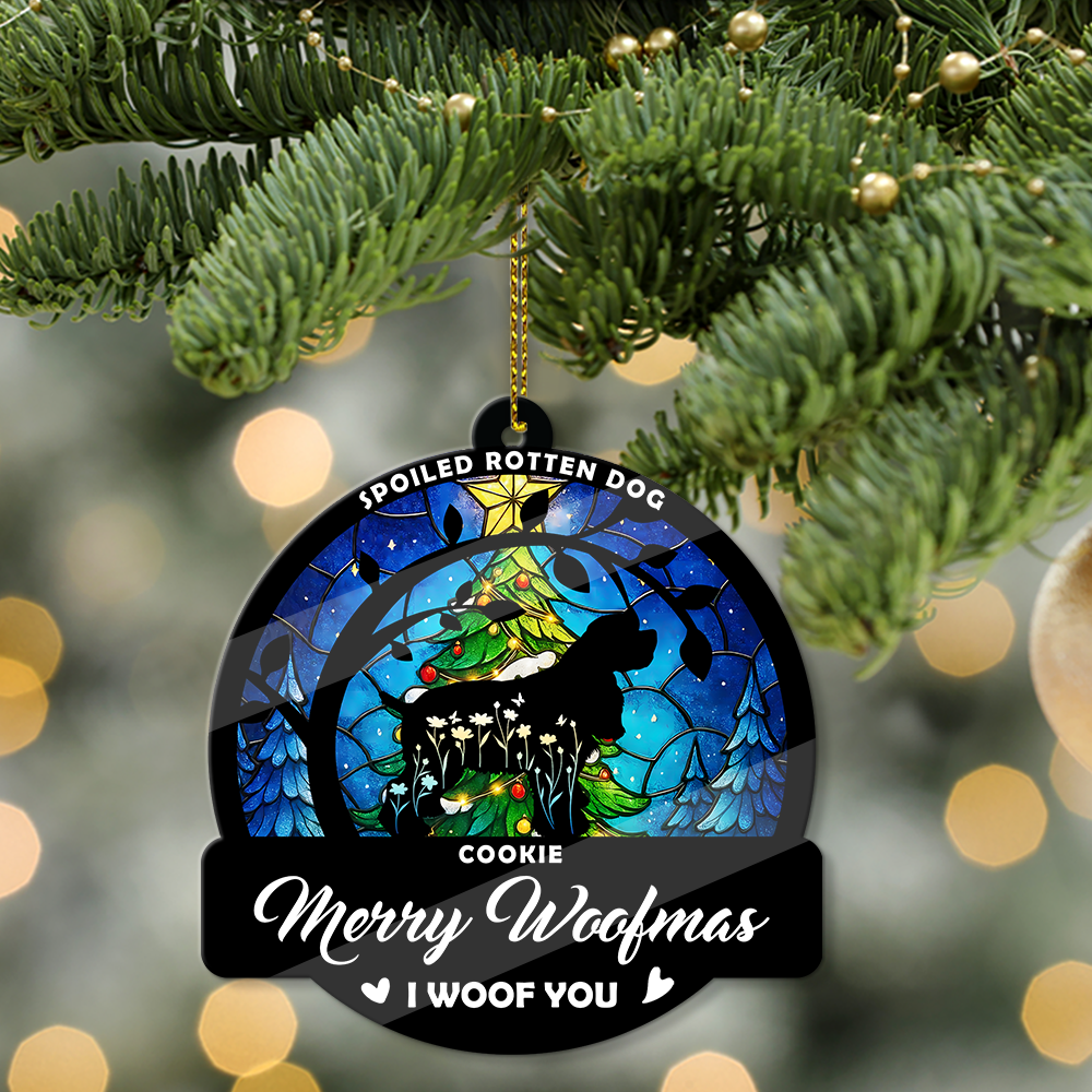 2025 Christmas - Personalized Custom Acrylic Ornament