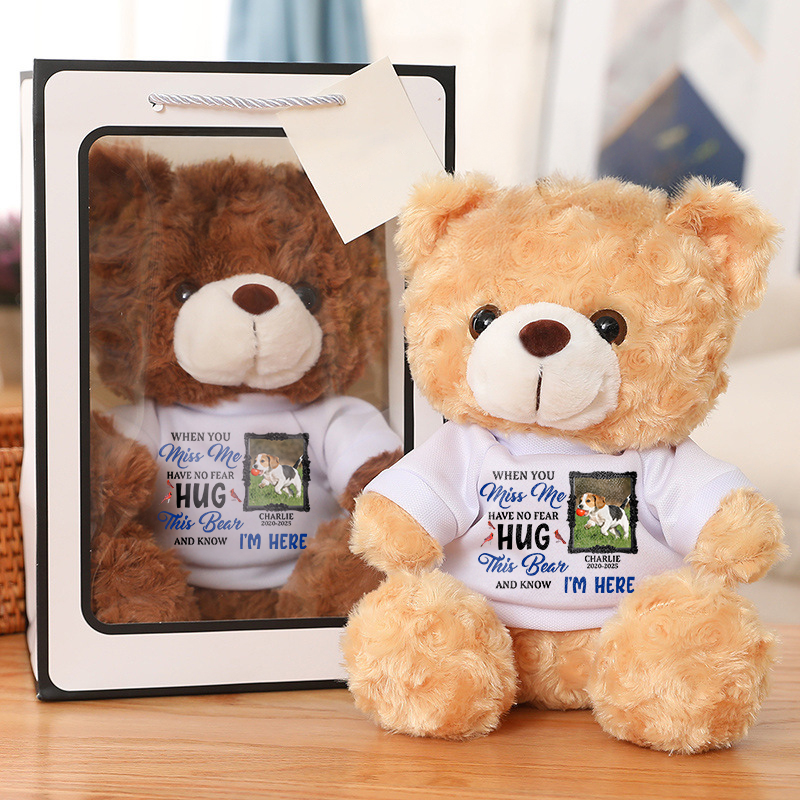 Pet Loss Hug This Bear - Memorial Personalized Custom Teddy Bear Plush